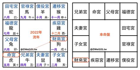 卯宮在哪|紫微斗數的宮位功能與架構解讀